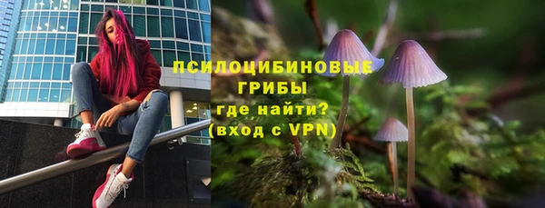 PSILOCYBIN Волоколамск